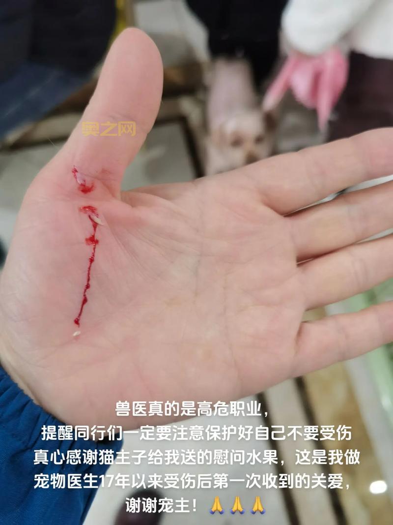 蓝龙EOE怎么打？哪些职业要注意？