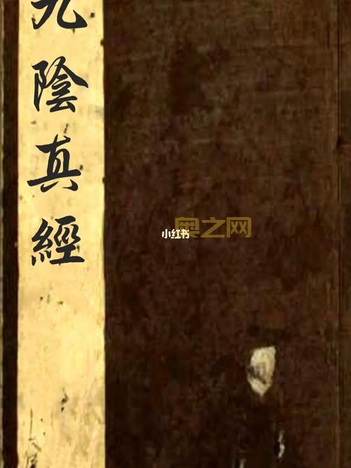 九阴真经战斗技巧：招架与虚招的完美配合！