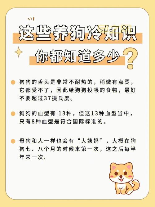 热血海贼王隐藏成就,这些冷知识你都知道吗?