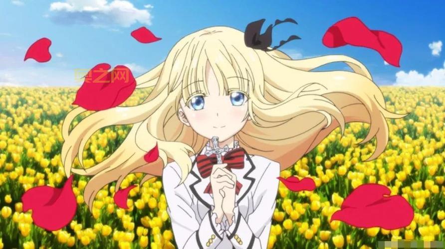 edd次元避风港：遇见志同道合的朋友，分享快乐与感动