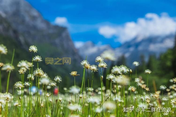 斗战神混沌模式:开启全新挑战,体验极致战斗!