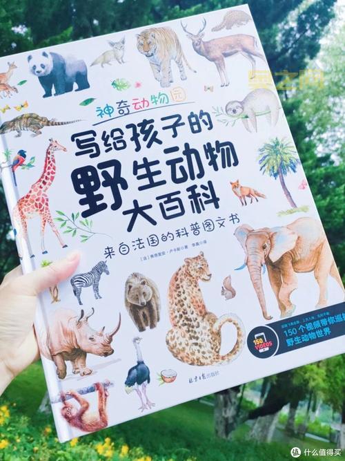 下载美国Zoom动物：与可爱动物互动，探索奇妙动物世界！