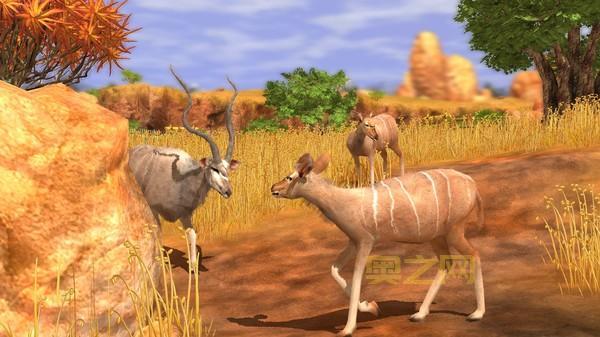 动物园大亨3：打造你的梦想动物园！