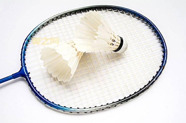 兽兽大乱斗2.9下载：新手入门指南，轻松上手！