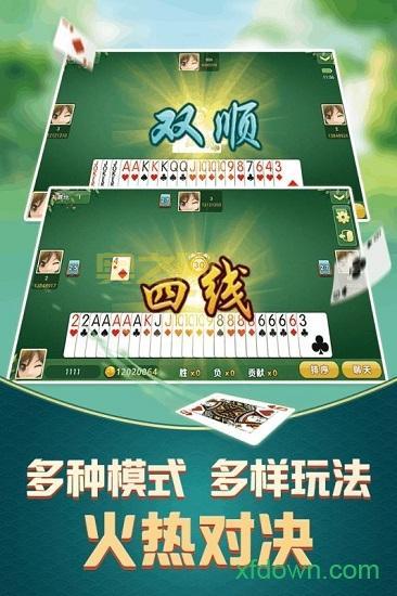 双扣游戏：两副牌，四个人，斗智斗勇