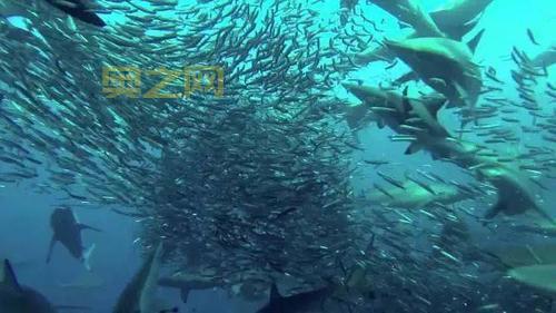 WoW瓦斯琪尔传送门：快速抵达海底世界的捷径