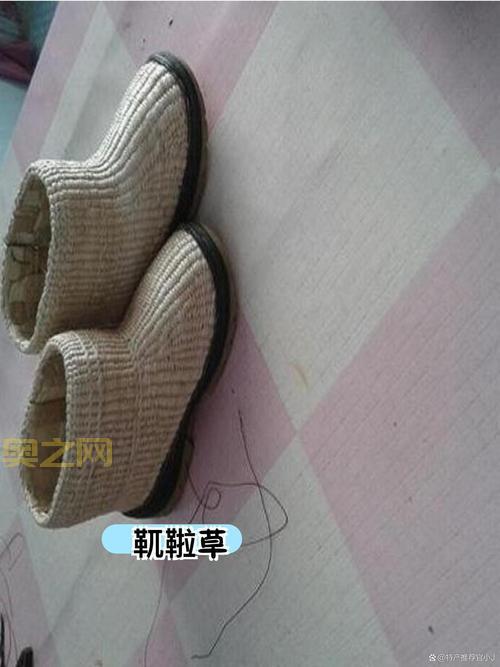 晶核官网情报站：最新资讯、活动、攻略一网打尽！