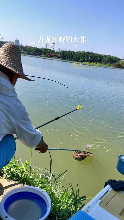 钓鱼发烧友：80多种鱼类，带你体验真实的钓鱼乐趣
