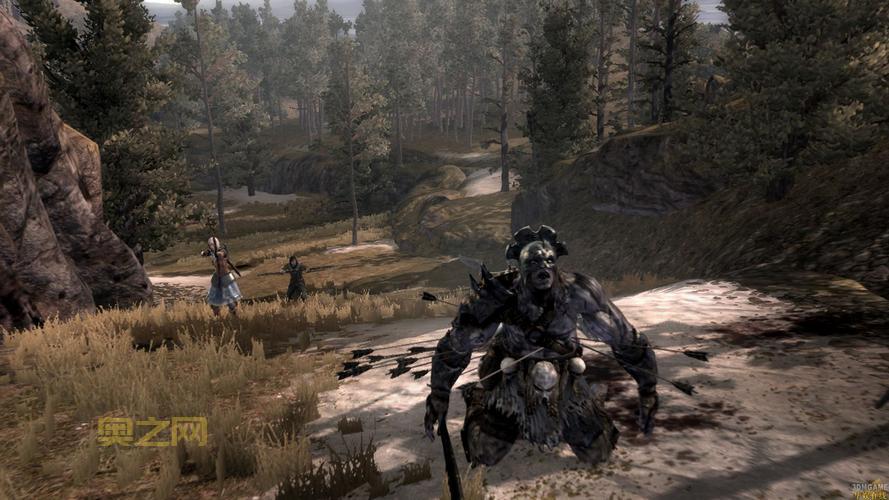 指环王：北方战争 联机教程：3DM硬盘版助你轻松联机