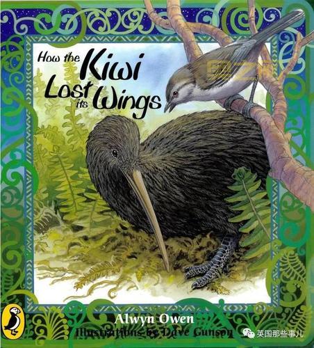 无翼鸟图库：探索新西兰国鸟几维鸟的精彩世界