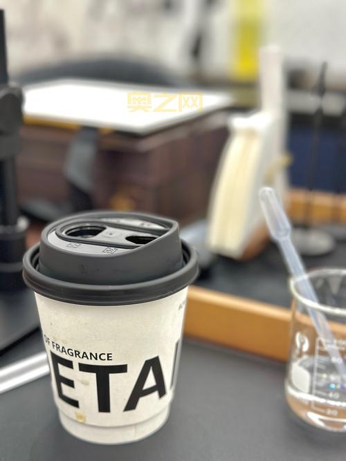 TERA职业推荐：剑斗士、狂战士与魔导师如何选择