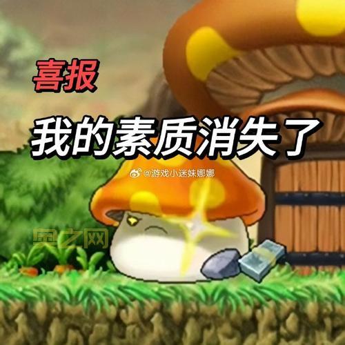 冒险岛市场解读：自由交易与玩家必备信息汇总