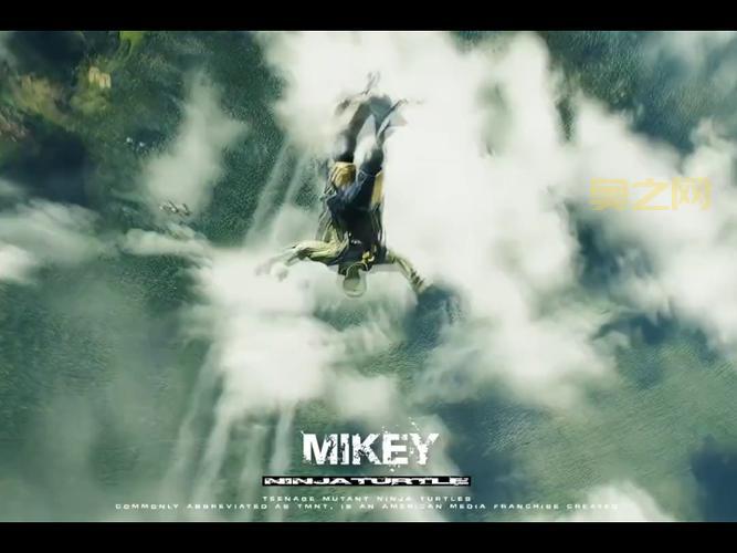 忍者神龟2密码秘籍：快速进入选关与无敌模式