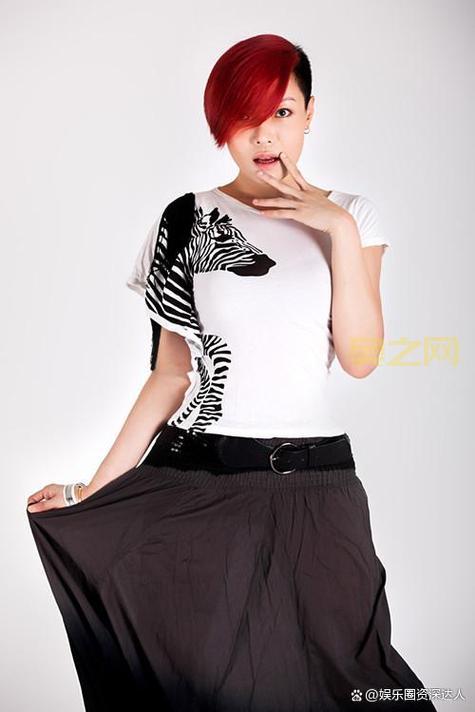 揭秘迷幻王子林宥嘉的音乐之路:从偶像到实力唱将