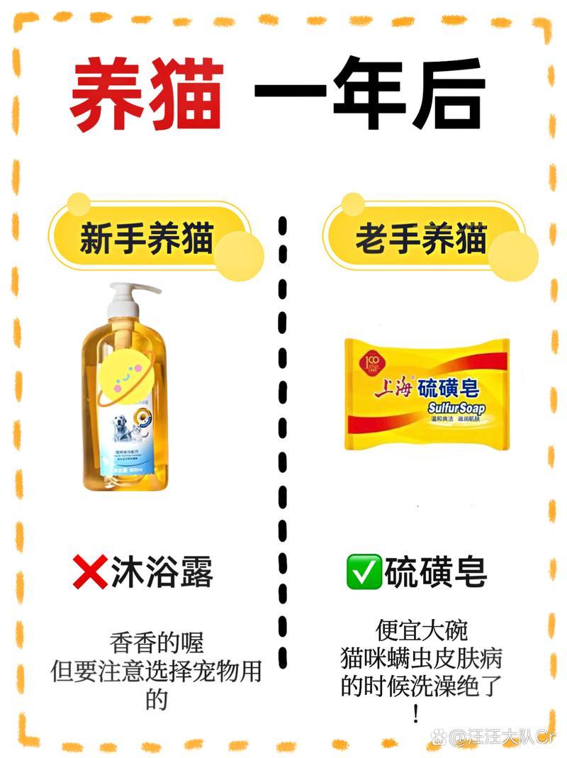 完际刺客怎么加点？新手老手加点攻略都在这！