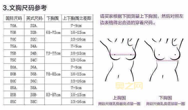 34B胸围的标准尺寸是多少？详细解析内衣尺码