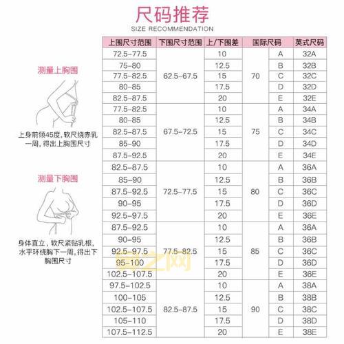 34B胸围的标准尺寸是多少？详细解析内衣尺码