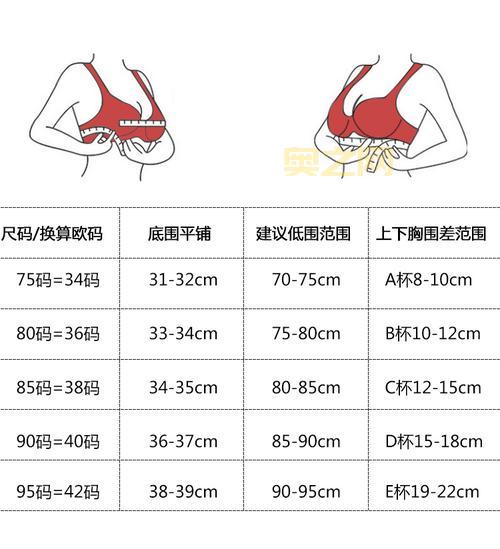 34B胸围的标准尺寸是多少？详细解析内衣尺码