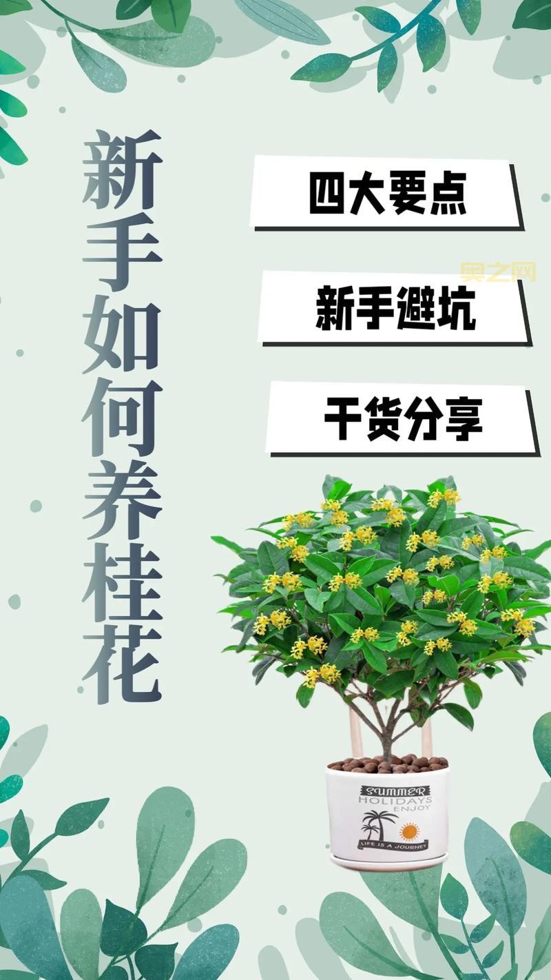 吸烟怎么吐烟圈？新手也能轻松掌握的技巧