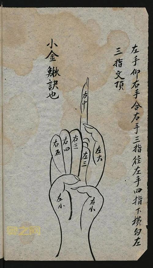 如何修炼九阴真经龙爪手古谱：从入门到精通