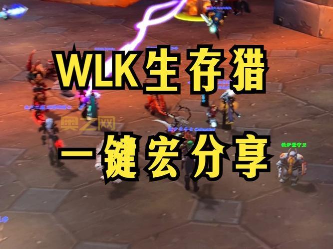 tbc盗贼宏一键输出手法，小白也能轻松上手！