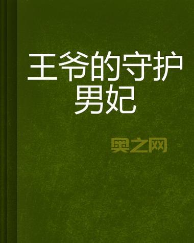 当男妃遇上冷面王爷：守护与爱情的博弈