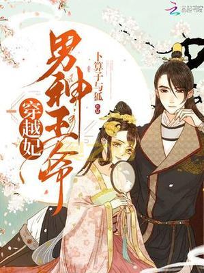 当男妃遇上冷面王爷：守护与爱情的博弈