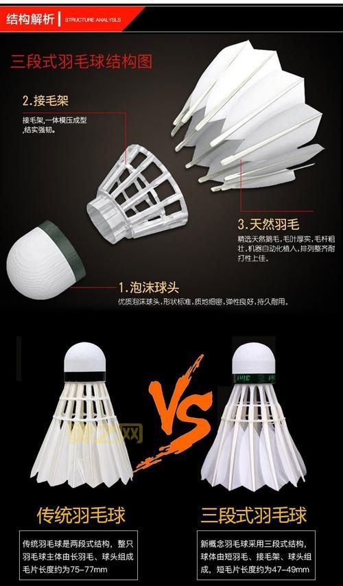 羽毛球的羽毛来源:为什么选择鹅毛和鸭毛?