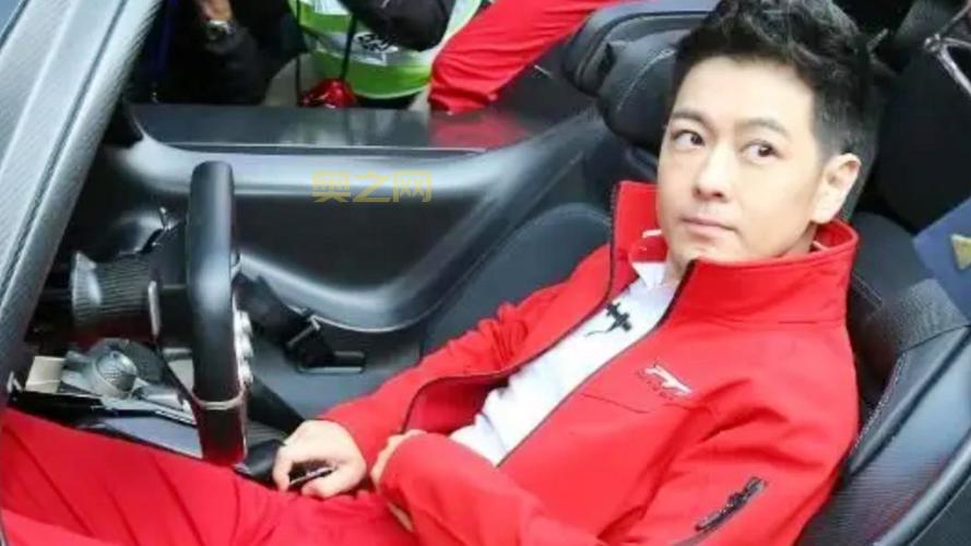 林志颖术后恢复情况良好 已顺利回家休养