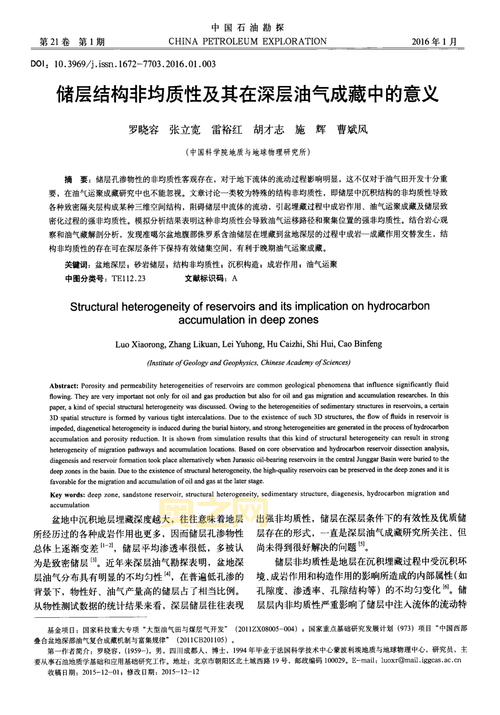 什么是d：探索d在语言与网络中的各种意义