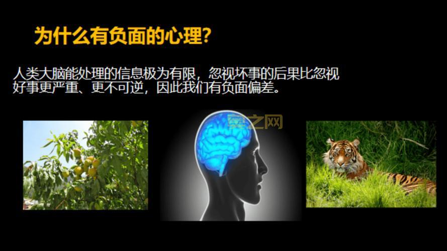 什么是d：探索d在语言与网络中的各种意义