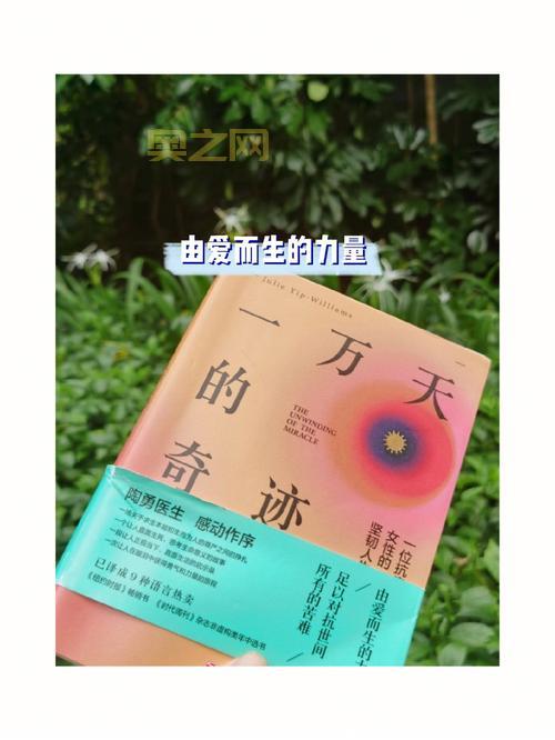 众神奇迹：探索失落的文明与神秘力量