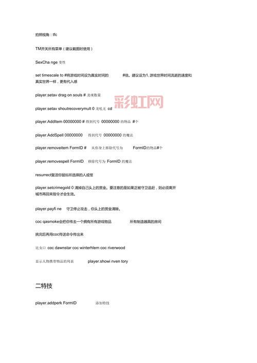 上古卷轴5 控制台命令指南:快速掌握游戏作弊技巧