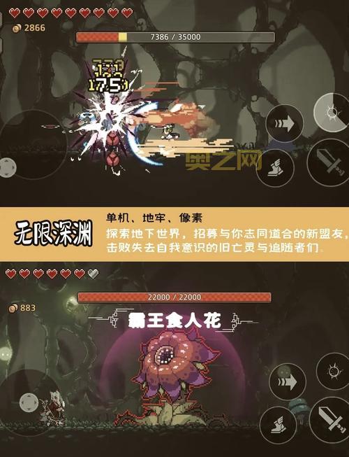 艾诺迪亚4紫装掉落出处在哪？高爆率地图分享！