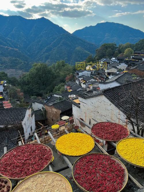 婺源县篁岭人的秋收晒秋习俗揭秘