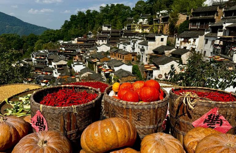 婺源县篁岭人的秋收晒秋习俗揭秘