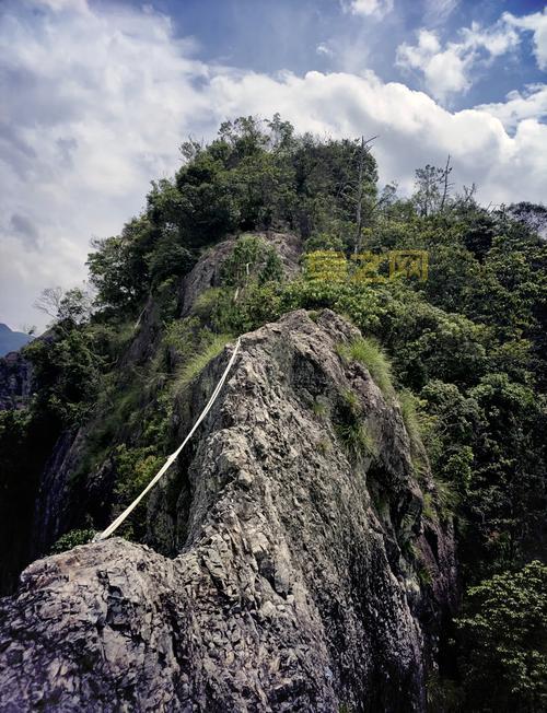 探险道游戏全攻略：必备技巧与成功探险指南