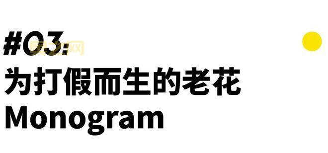 敬礼salute的魅力解析：从致敬礼仪到娱乐圈流行语