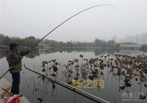 侠客风云传虹鲤怎么钓？分享几个简单的钓鱼技巧！