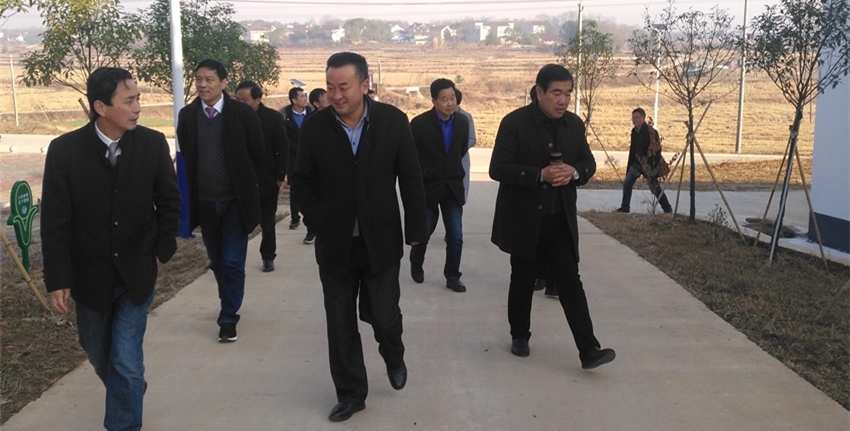 钱桥镇人居环境整治_钱桥镇美丽乡村建设_枞阳县钱桥镇钱桥村新闻