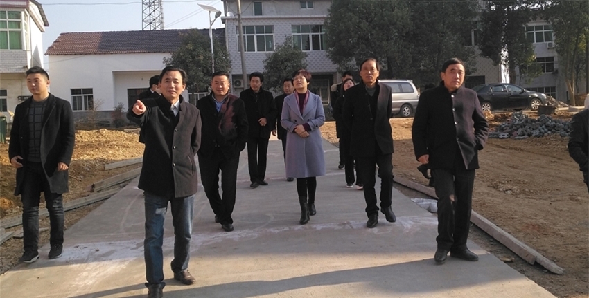 钱桥镇美丽乡村建设_钱桥镇人居环境整治_枞阳县钱桥镇钱桥村新闻