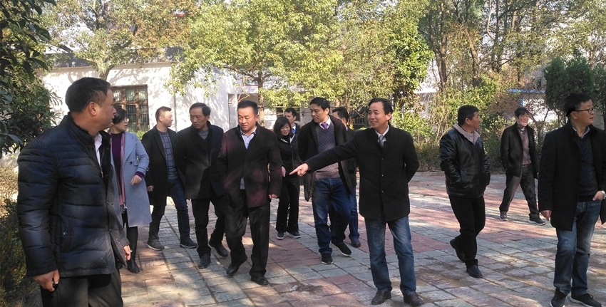 钱桥镇人居环境整治_钱桥镇美丽乡村建设_枞阳县钱桥镇钱桥村新闻