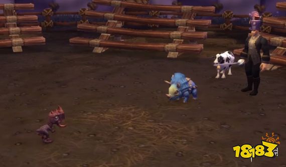 马戏团攻略_魔兽世界暗月马戏团宠物对战攻略_魔兽世界暗月马戏团宠物对战配队