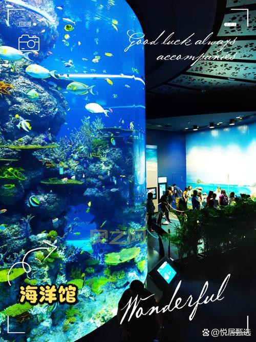 冒险点点全攻略：探索奇妙旅程的每一步