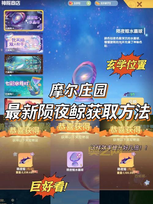 摩尔庄园陨夜鲸在哪里钓？最新钓鱼位置攻略！