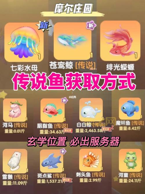 摩尔庄园陨夜鲸在哪里钓？最新钓鱼位置攻略！