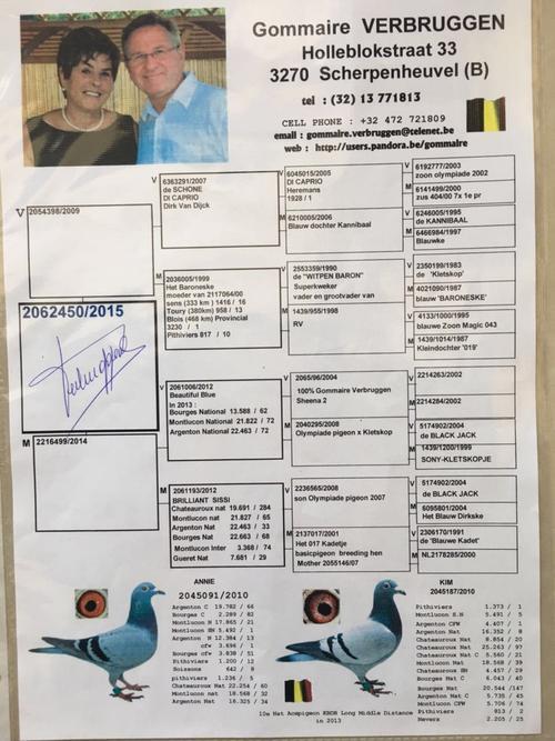 御龙在天马匹血统有哪些?最强血统马匹获取攻略