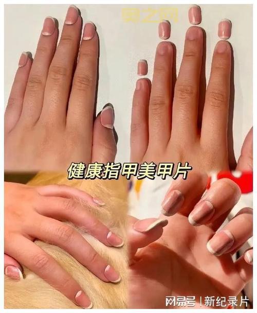 疯狂明星脸答案大全:最新攻略与解答