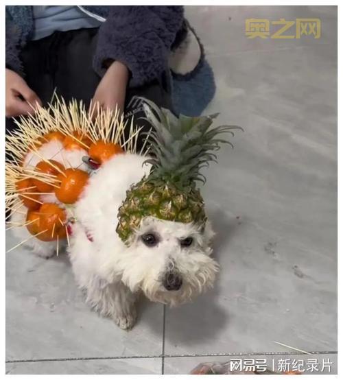 疯狂明星脸答案大全:最新攻略与解答