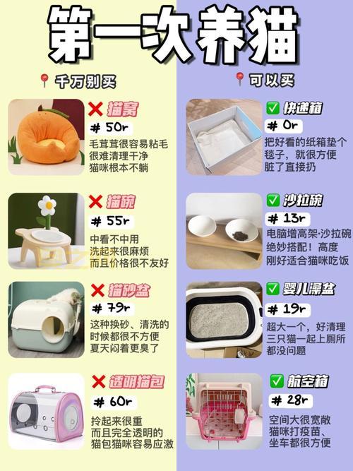 kitty猫怎么养？新手铲屎官的必备养猫指南！